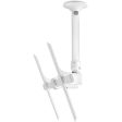 Atdec ceiling mount for large display, short pole - Loads up to 143lb - White - Universal VESA up to 800x500 Online Hot Sale