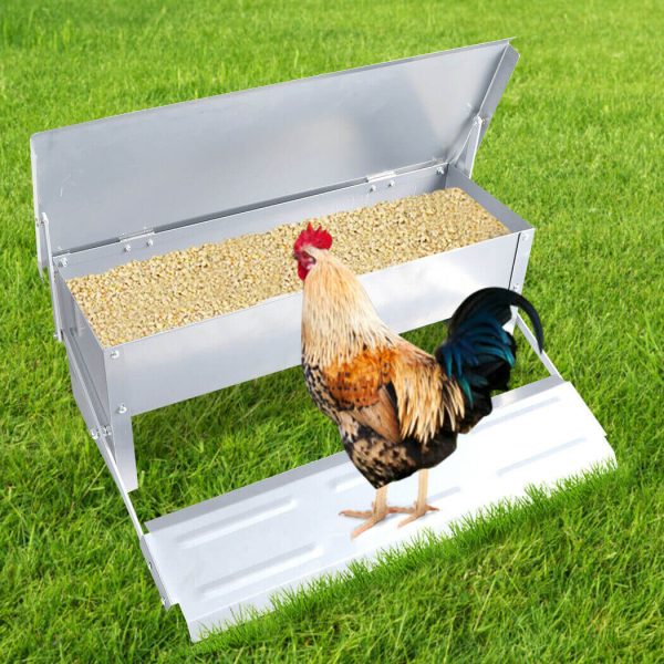 Automatic Chicken Feeder Hot on Sale