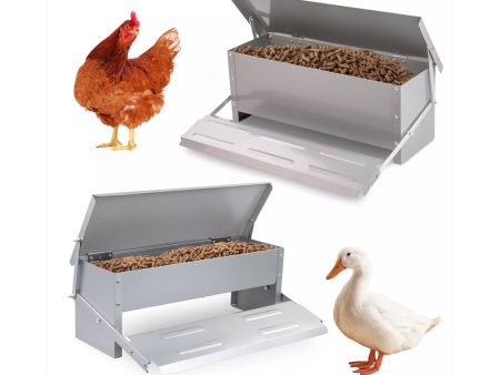 Automatic Chicken Feeder Hot on Sale