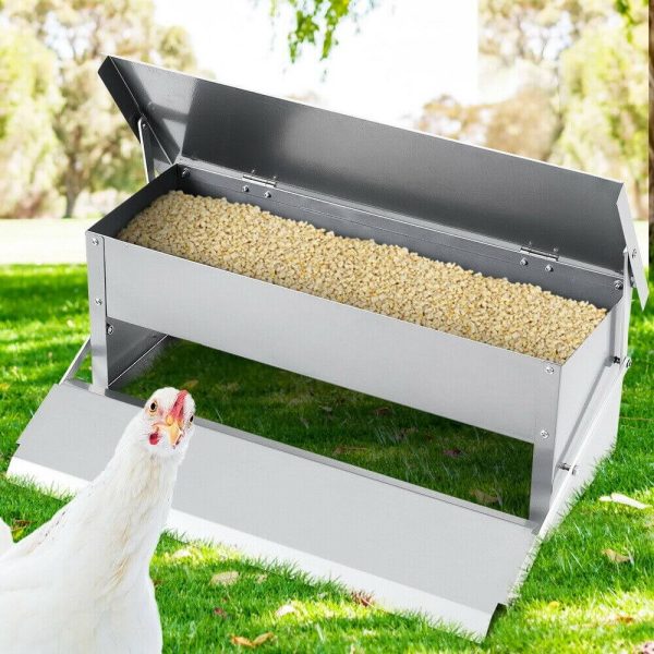 Automatic Chicken Feeder Hot on Sale